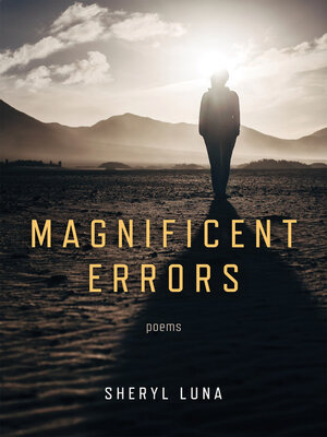 cover image of Magnificent Errors